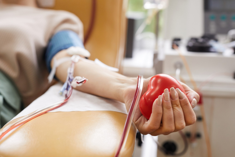 A blood collection needle and tubing is attached to a female's arm during a blood donation while she holds a heart-shaped squeeze ball in her hand