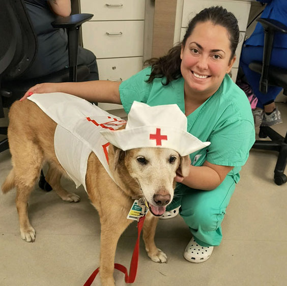 Bella, dressed in a doggie nurse's costume, celebrates Nurses Day with Beaufort Memorial nurse, Jennifer Leakey, who squats next to Bella and smiles at the camera.