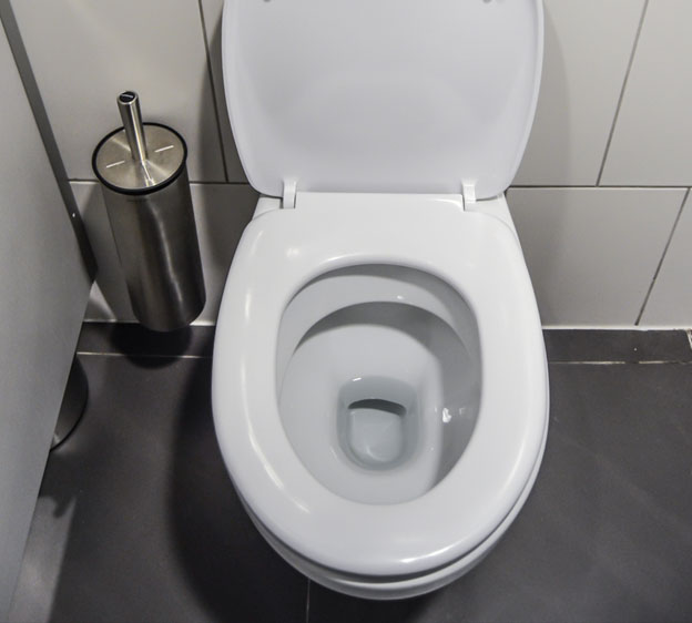 toilet bowl