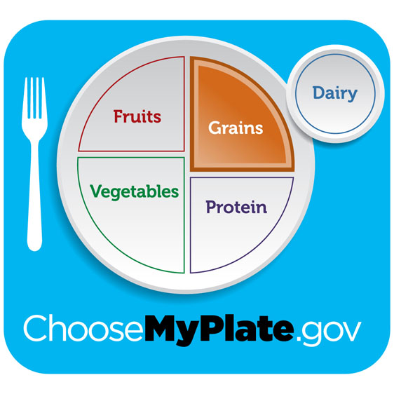 MyPlate graphic showing a well-balanced meal