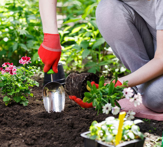 Person kneeling in a garden digging in the dirt