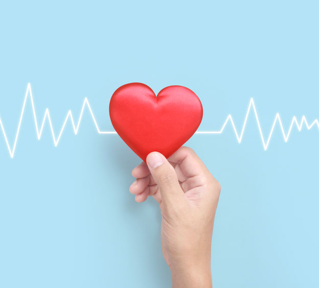 Hand holding a paper heart in front of a heart rhythm monitor reading